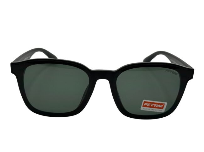 Ferrini DYFE009 C2